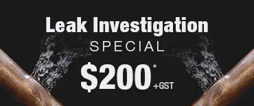 Leak Investigation Discount Waterview